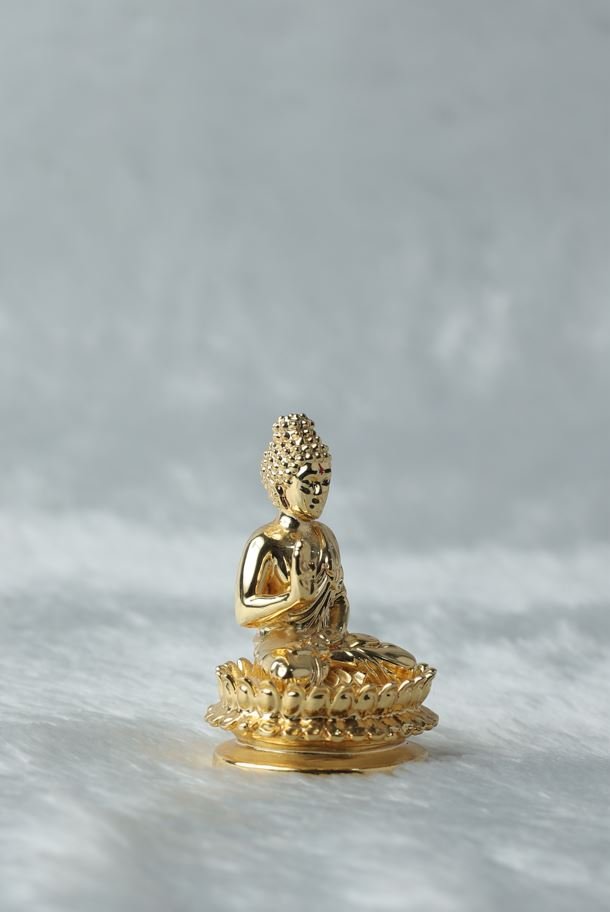 Radiant Gold Plated Buddha Statue