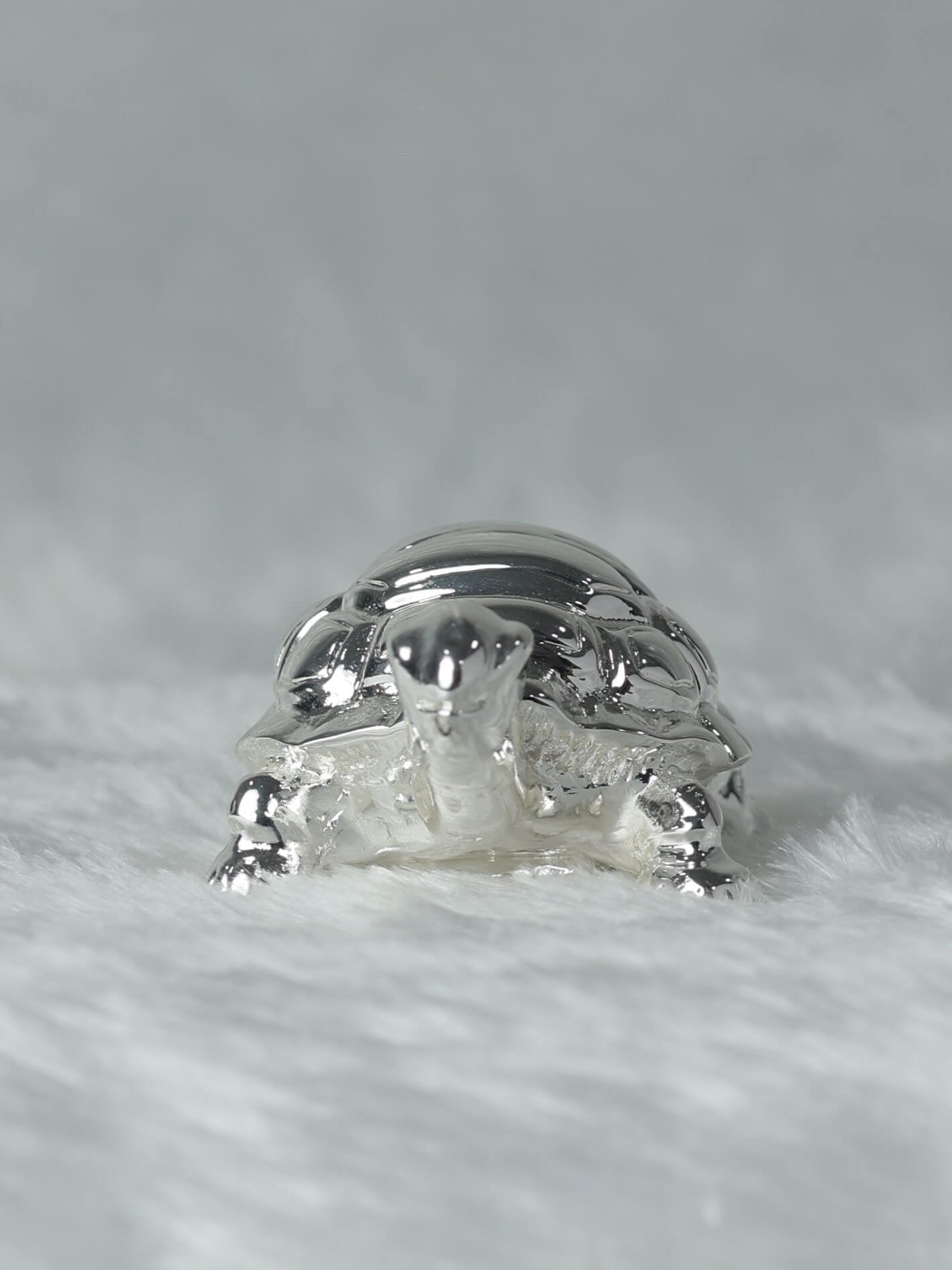 Buy Silver Plated Tortoise Online