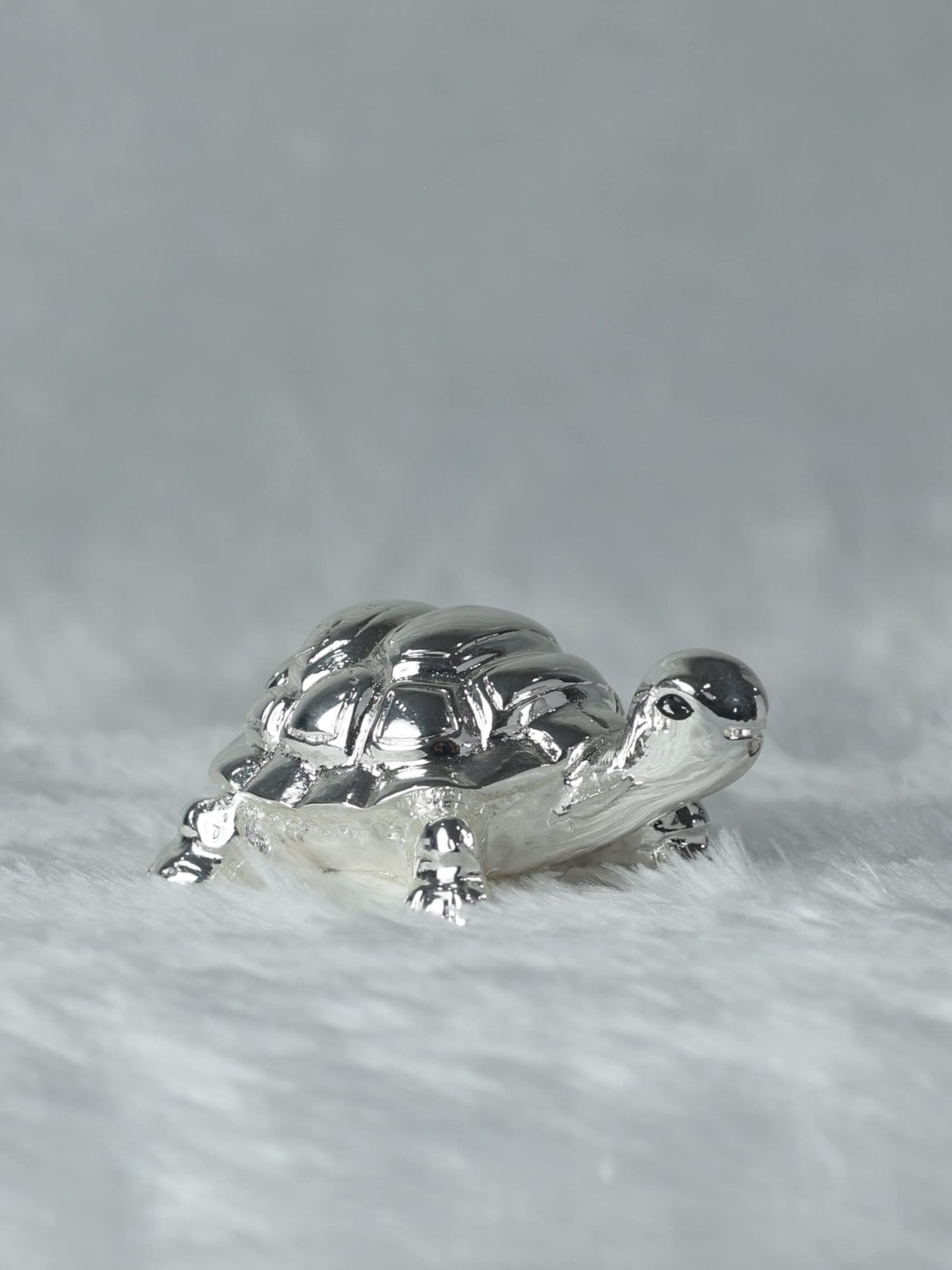 Buy Silver Plated Tortoise Online