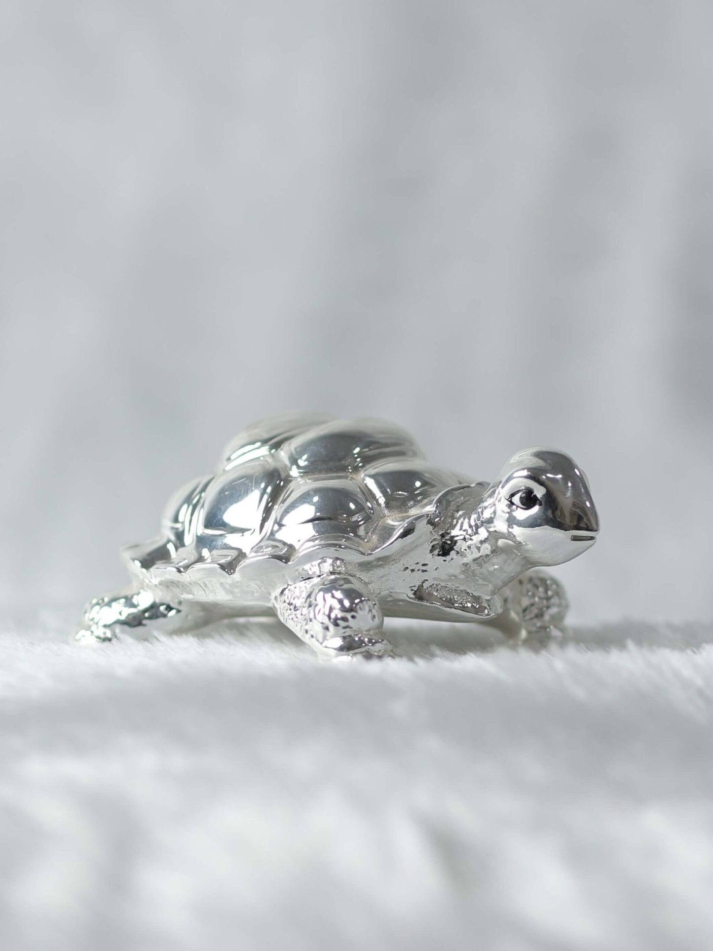 Buy Silver Plated Tortoise Online